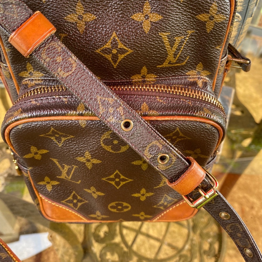 Louis Vuitton Amazon Crossbody Bag - Picture 9 of 16